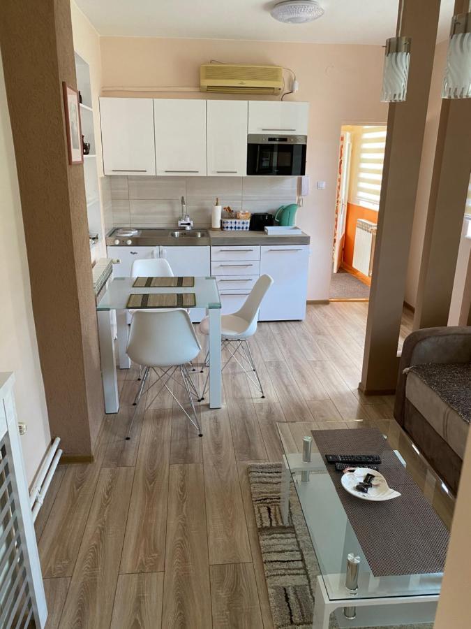 Apartmani Rajin Vrsac Zewnętrze zdjęcie